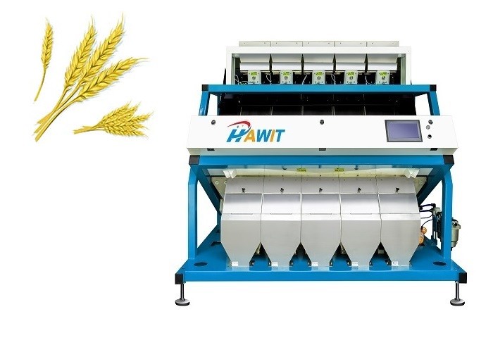 Los canales multi rechazan el clasificador cretáceo del color del trigo en línea de la molinería del trigo